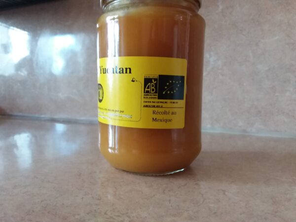 miel bio yucatan mexique 125gr 250gr