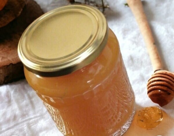 Miel sauvage d'origan récolté en Espagne ou en Grèce pot de 40gr 250gr est 125gr